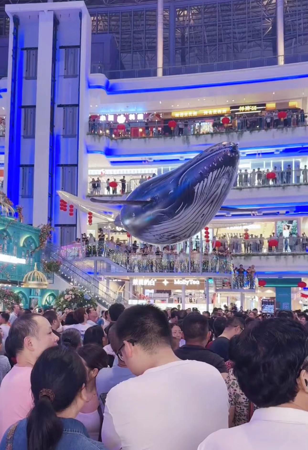 15a2d0b2 1bfe 43e5 8f6a 312bdbf45945