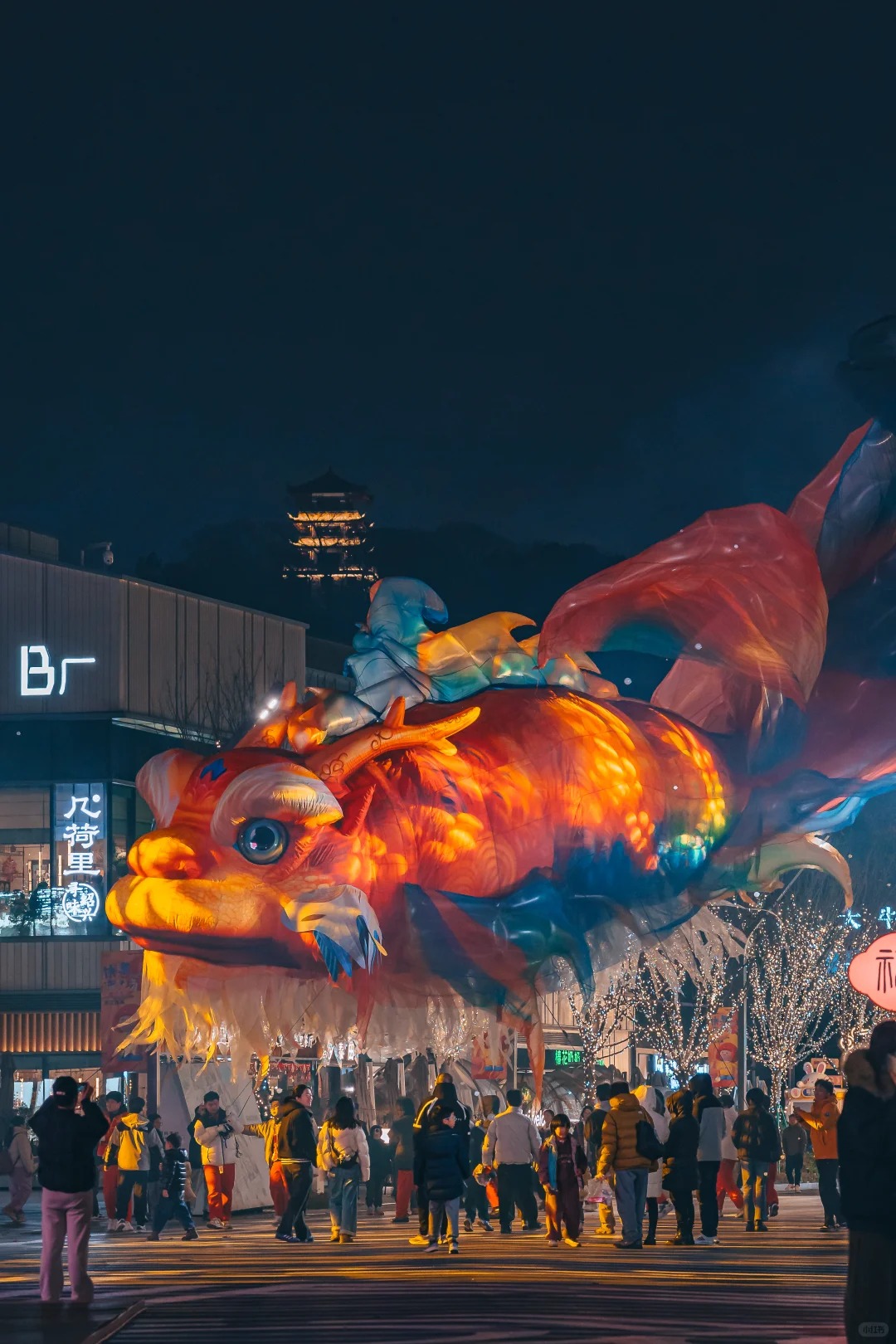 绍兴天地惊现全运会同款鳌鱼灯！ 1 阿diong📸 来自小红书网页版